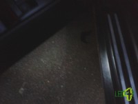 /album/luz-de-portas-minimos/vw-passat-ilumina%c3%a7%c3%a3o-portas-jpg/
